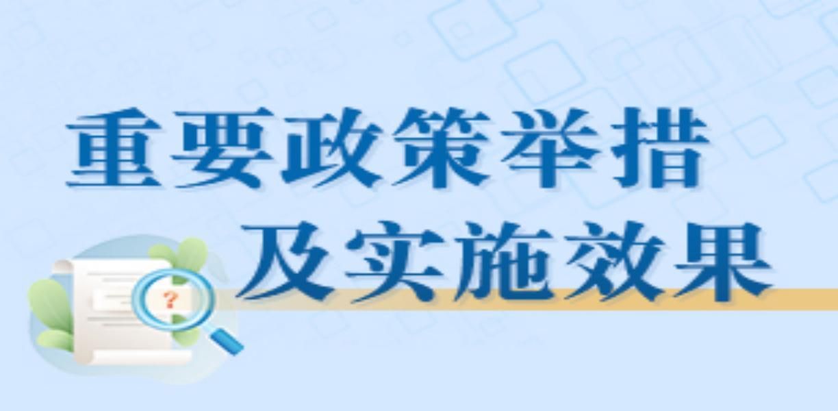 重要成册举措及实施情况